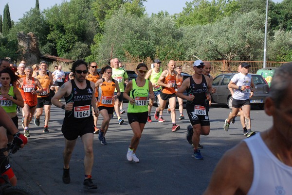 Maratonina di Villa Adriana [TOP] (29/05/2022) 0020
