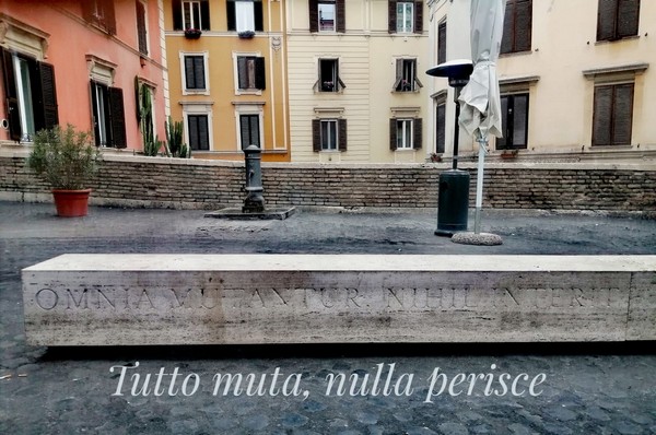 I nostri allenamenti ... di tutto un pò (31/01/2022) 0057