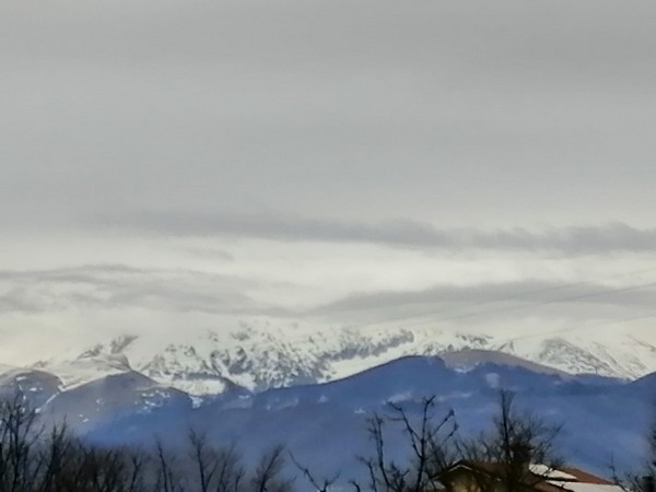 I nostri allenamenti ... di tutto un pò (31/01/2022) 0083