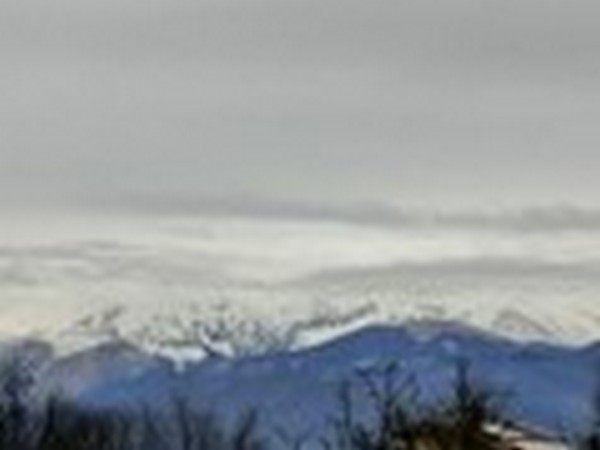 I nostri allenamenti ... di tutto un pò (31/01/2022) 0160