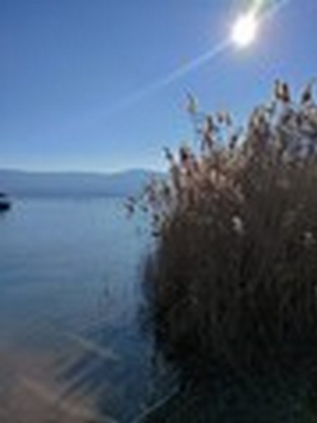 I nostri allenamenti ... di tutto un pò (31/01/2022) 0181