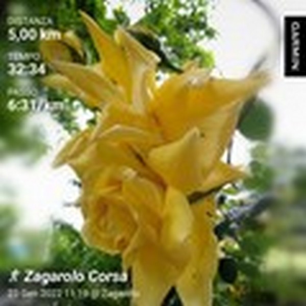 I nostri allenamenti ... di tutto un pò (31/01/2022) 0217