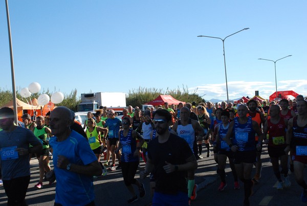 Mare – lago delle terre pontine 32K (06/11/2022) 0033