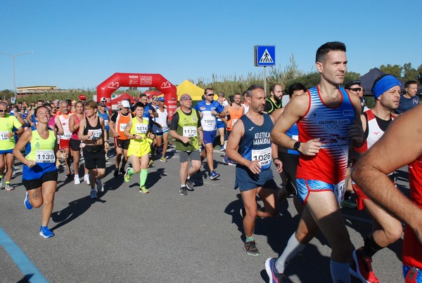 Mare – lago delle terre pontine 32K (06/11/2022) 0054