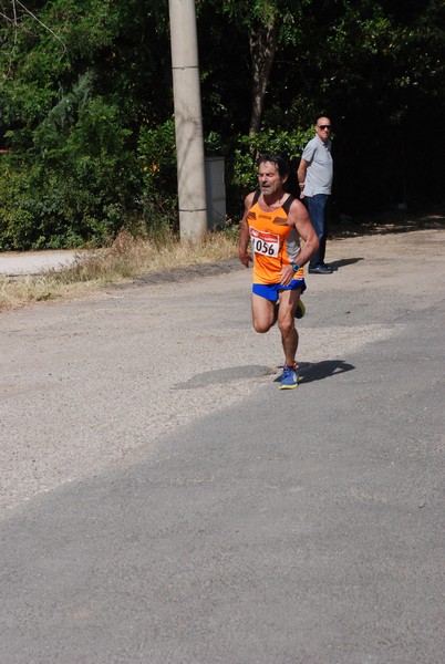Maratonina di Villa Adriana [TOP] (29/05/2022) 0074
