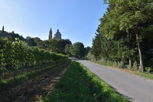 MontepulcianoRun - Laquattordici (01/10/2023) 0008