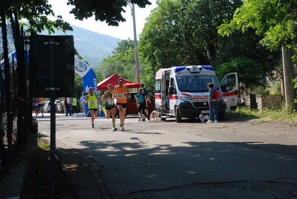 Maratonina di Villa Adriana [TOP] (28/05/2023) 0001
