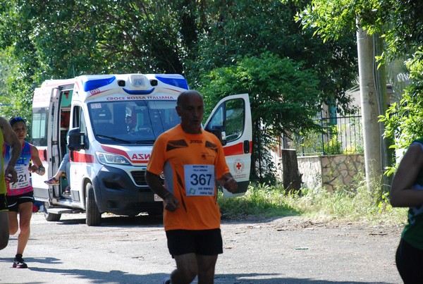 Maratonina di Villa Adriana [TOP] (28/05/2023) 0046