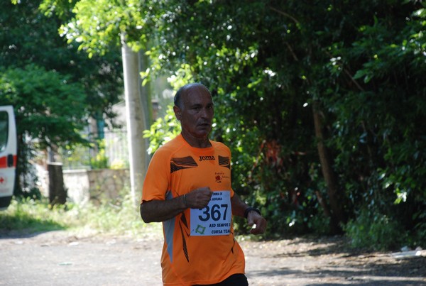Maratonina di Villa Adriana [TOP] (28/05/2023) 0047