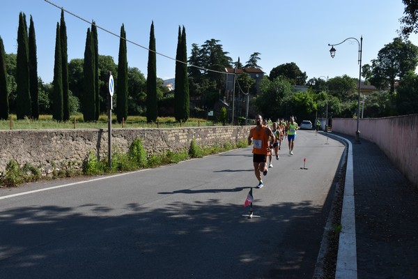 Maratonina di Villa Adriana [TOP] (28/05/2023) 0077