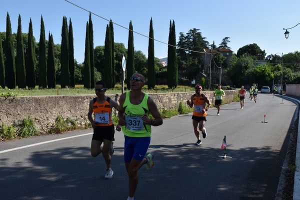 Maratonina di Villa Adriana [TOP] (28/05/2023) 0083