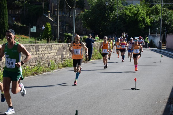 Maratonina di Villa Adriana [TOP] (28/05/2023) 0112