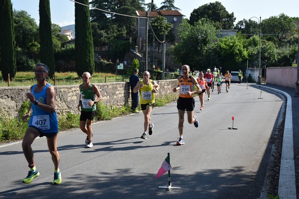 Maratonina di Villa Adriana [TOP] (28/05/2023) 0141