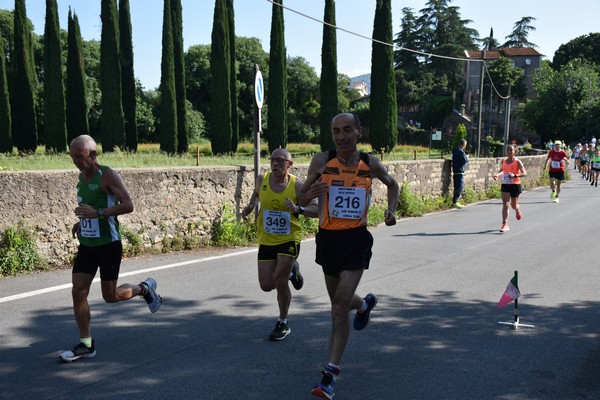 Maratonina di Villa Adriana [TOP] (28/05/2023) 0146