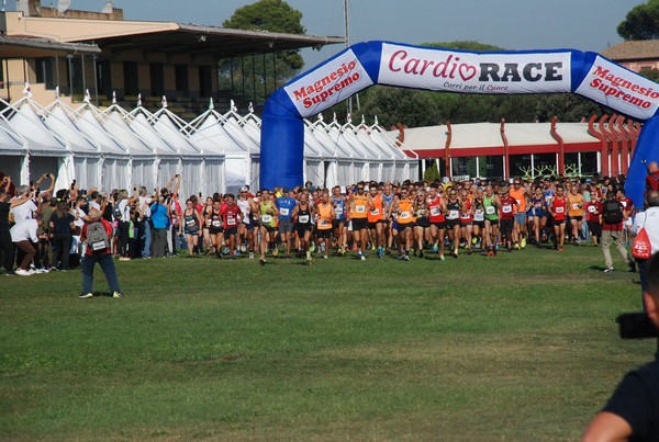 Cardio Race - 15K [TOP] (01/10/2023) 0002