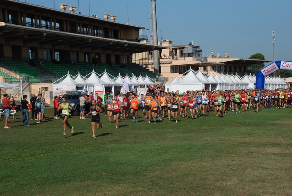 Cardio Race - 15K [TOP] (01/10/2023) 0006