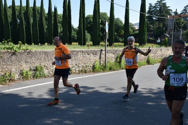 Maratonina di Villa Adriana [TOP] (28/05/2023) 0007