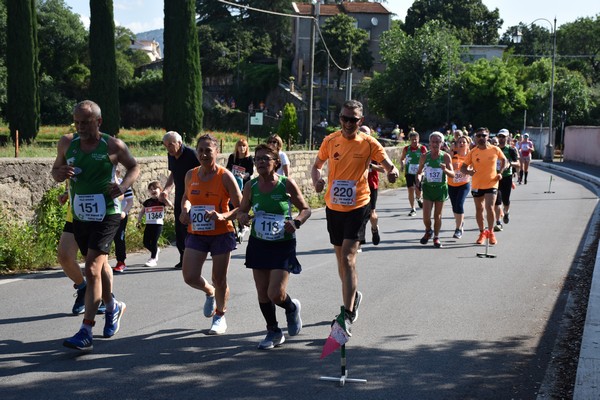 Maratonina di Villa Adriana [TOP] (28/05/2023) 0016