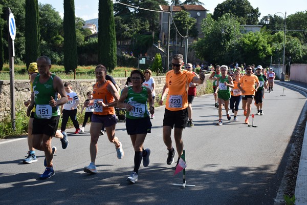 Maratonina di Villa Adriana [TOP] (28/05/2023) 0017