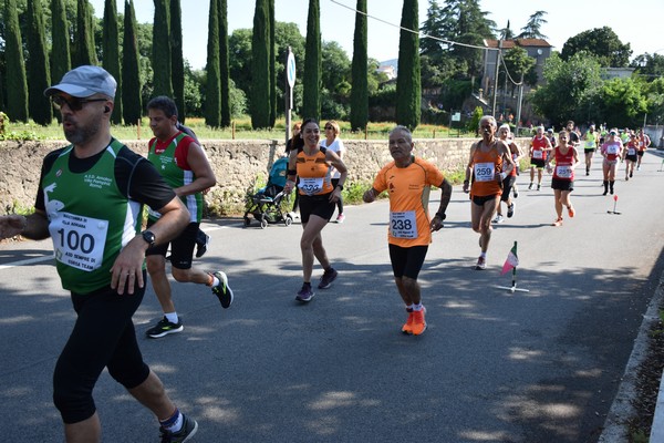 Maratonina di Villa Adriana [TOP] (28/05/2023) 0027