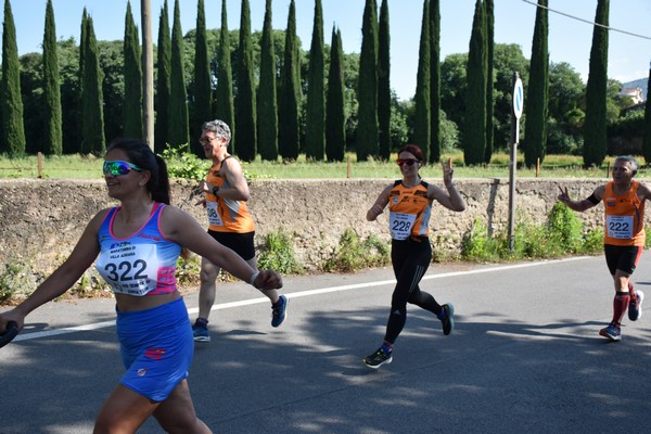 Maratonina di Villa Adriana [TOP] (28/05/2023) 0052