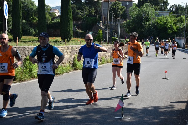 Maratonina di Villa Adriana [TOP] (28/05/2023) 0064
