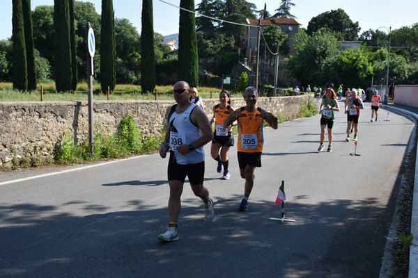 Maratonina di Villa Adriana [TOP] (28/05/2023) 0084