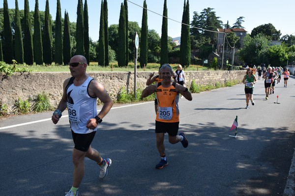 Maratonina di Villa Adriana [TOP] (28/05/2023) 0086