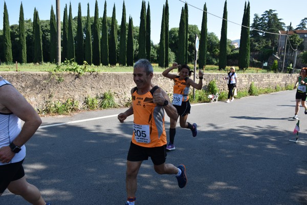 Maratonina di Villa Adriana [TOP] (28/05/2023) 0087