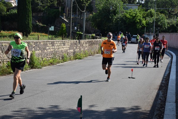 Maratonina di Villa Adriana [TOP] (28/05/2023) 0110