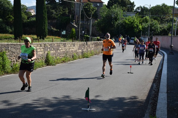 Maratonina di Villa Adriana [TOP] (28/05/2023) 0111