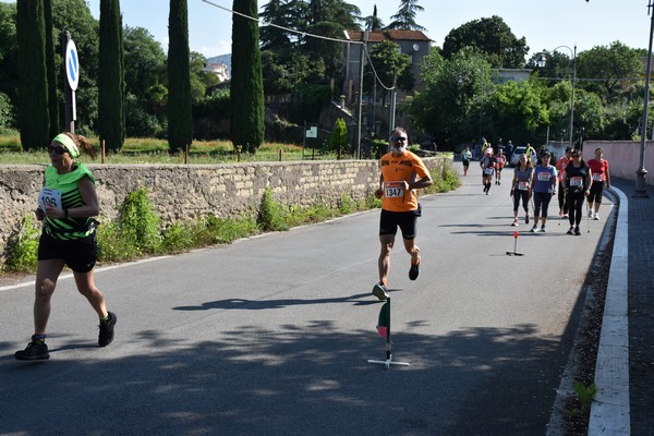 Maratonina di Villa Adriana [TOP] (28/05/2023) 0115