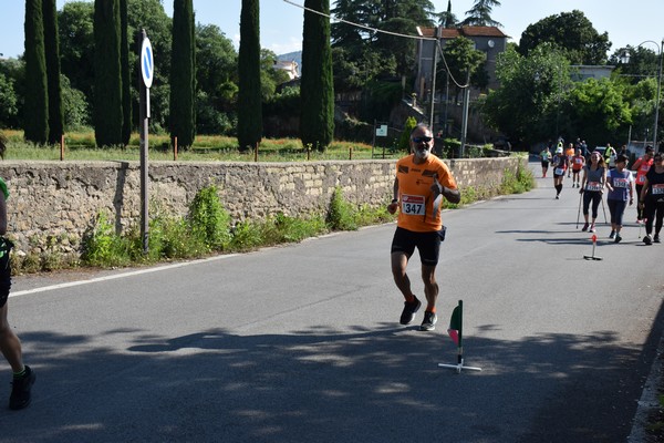 Maratonina di Villa Adriana [TOP] (28/05/2023) 0116