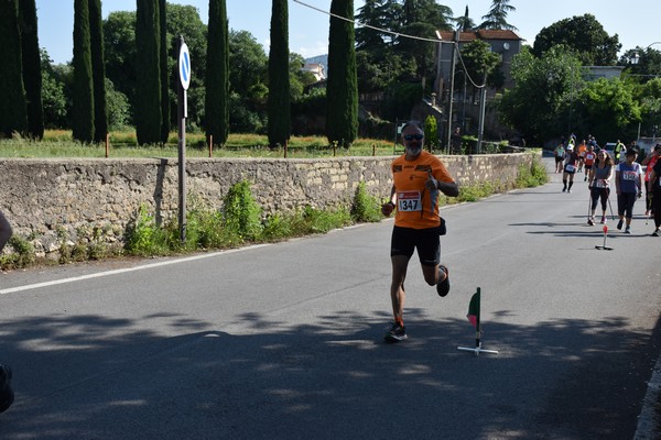 Maratonina di Villa Adriana [TOP] (28/05/2023) 0117