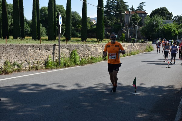 Maratonina di Villa Adriana [TOP] (28/05/2023) 0118