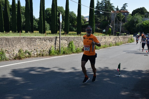Maratonina di Villa Adriana [TOP] (28/05/2023) 0120