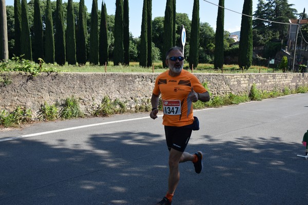 Maratonina di Villa Adriana [TOP] (28/05/2023) 0122