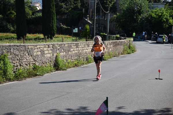 Maratonina di Villa Adriana [TOP] (28/05/2023) 0134