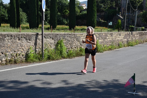 Maratonina di Villa Adriana [TOP] (28/05/2023) 0139