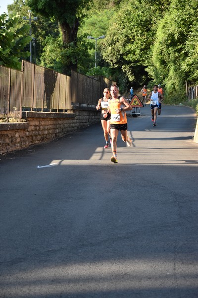Corrimacere [CE] (29/07/2023) 0027