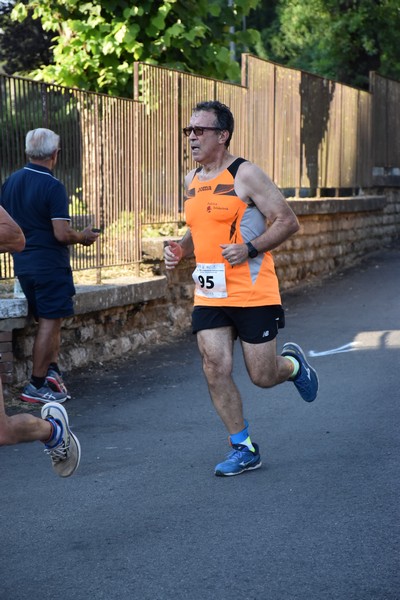 Corrimacere [CE] (29/07/2023) 0085