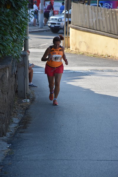 Corrimacere [CE] (29/07/2023) 0136