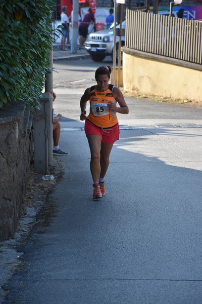 Corrimacere [CE] (29/07/2023) 0137