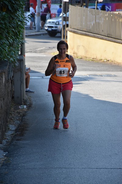 Corrimacere [CE] (29/07/2023) 0138