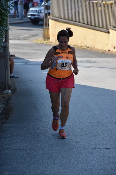 Corrimacere [CE] (29/07/2023) 0140