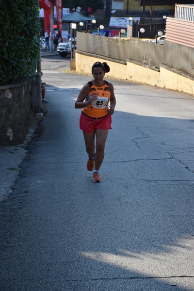 Corrimacere [CE] (29/07/2023) 0141