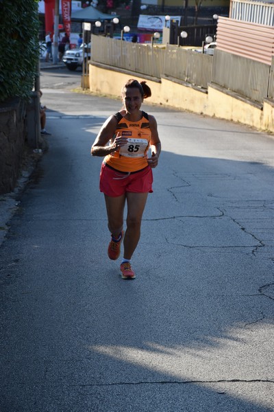 Corrimacere [CE] (29/07/2023) 0142