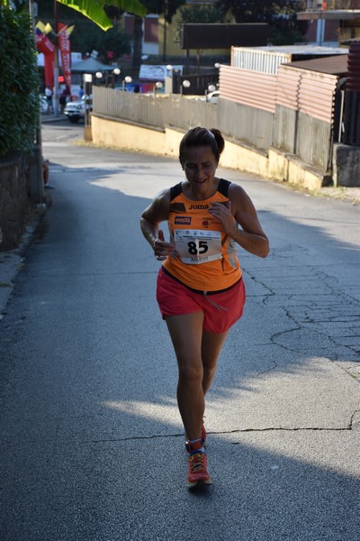 Corrimacere [CE] (29/07/2023) 0147