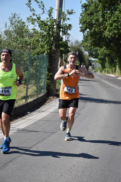 Maratonina di San Luigi (11/06/2023) 0036