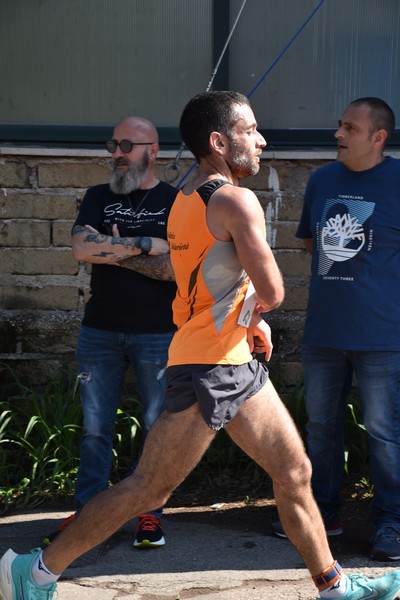 Maratonina di Villa Adriana [TOP] (28/05/2023) 0097